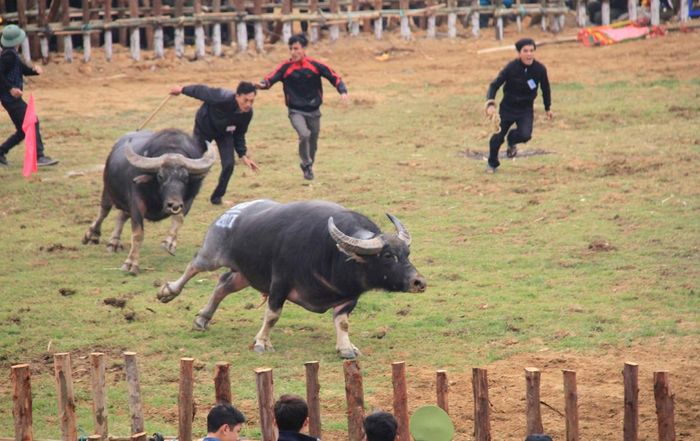 Do ở vòng loại, có những trận đấu không thực sự hấp dẫn khi diễn ra rất ngắn