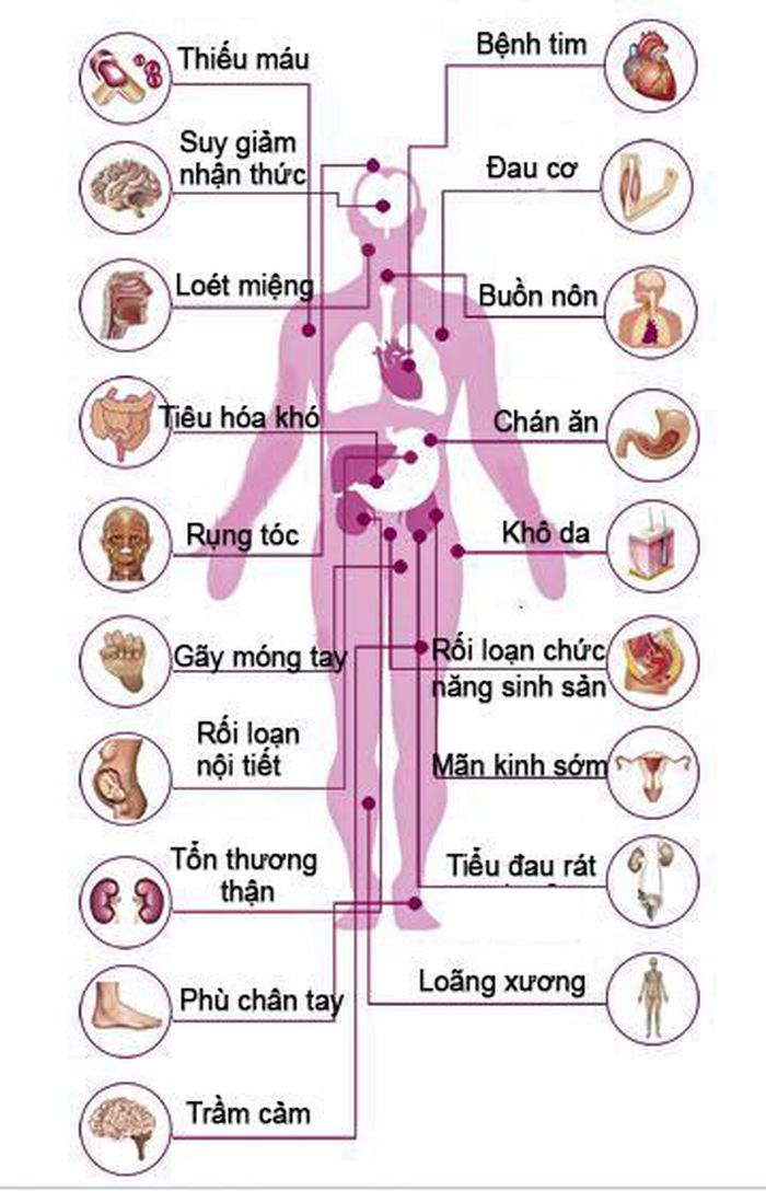 Ảnh hưởng của phương pháp hóa trị đối với cơ thể.