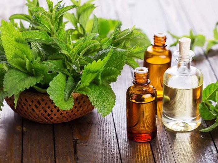 Dầu bạc hà. Dầu bạc hà có tác dụng giảm viêm đường ruột và làm dịu đường tiêu hóa. Uống trà bạc hà khi bị tiêu chảy giúp giảm đi phân lỏng và giảm khó chịu khi bị tiêu chảy.