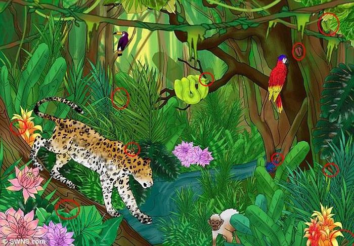 Họa sĩ đã khéo léo giấu 10 hạt cà phê trong khu rừng đầy màu sắc này.