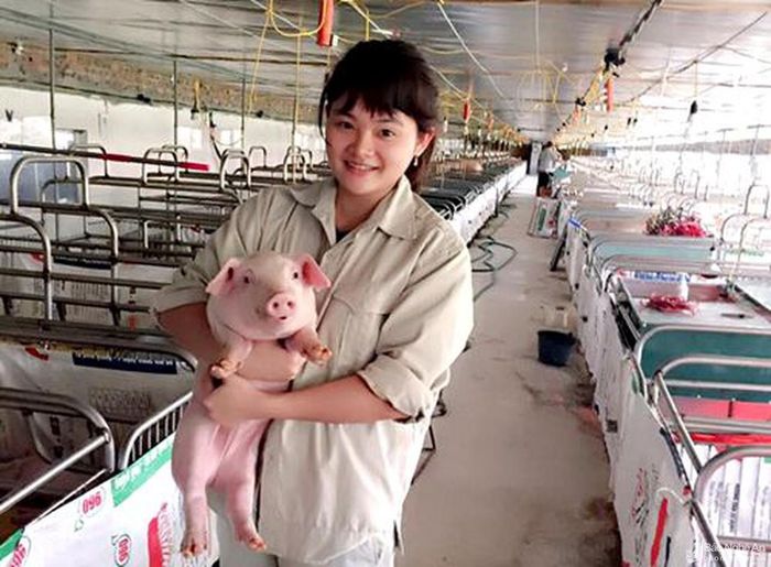 Thanh Tú còn là một cô gái rất yêu động vật, đặc biệt là các chú lợn con. “Chăn nuôi con gì cũng vậy, mình phải yêu thương, chăm sóc các con vật đó như con mình thì nuôi mới thuận lợi và thành công được” – Tú chia sẻ. Ảnh Hải Đăng
