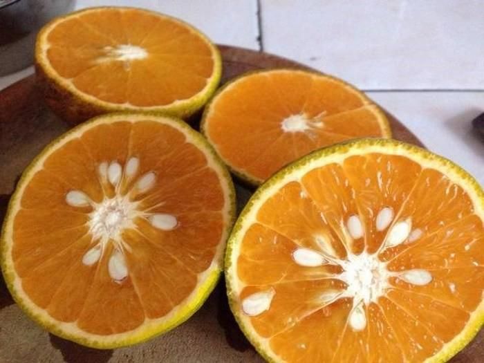 3. Hạt cam. Điều trị phong thấp. Dùng hạt cam phơi khô dưới bóng râm mát đem rang vàng đó tán bột và hòa khoảng 3-5g uống cùng nước đun sôi để nguội. Ảnh: Vietbao.