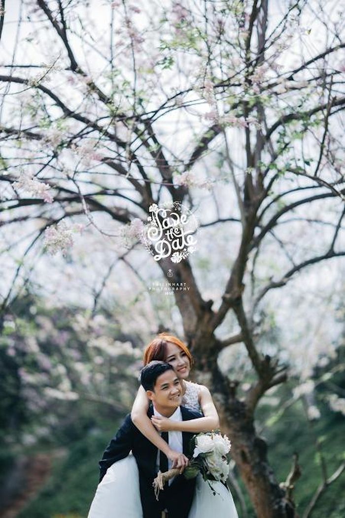 Mới đây, bộ ảnh cưới dưới gốc mai anh đào của nhiếp ảnh gia phố Núi - Vũ Tài Linh hay còn biết tới với nghệ danh Tài Linh Art đã khiến dân mạng phải trầm trồ tán thưởng không chỉ bởi góc chụp ấn tượng mà còn bởi sắc hoa đẹp của loài hoa lạ lẫm.