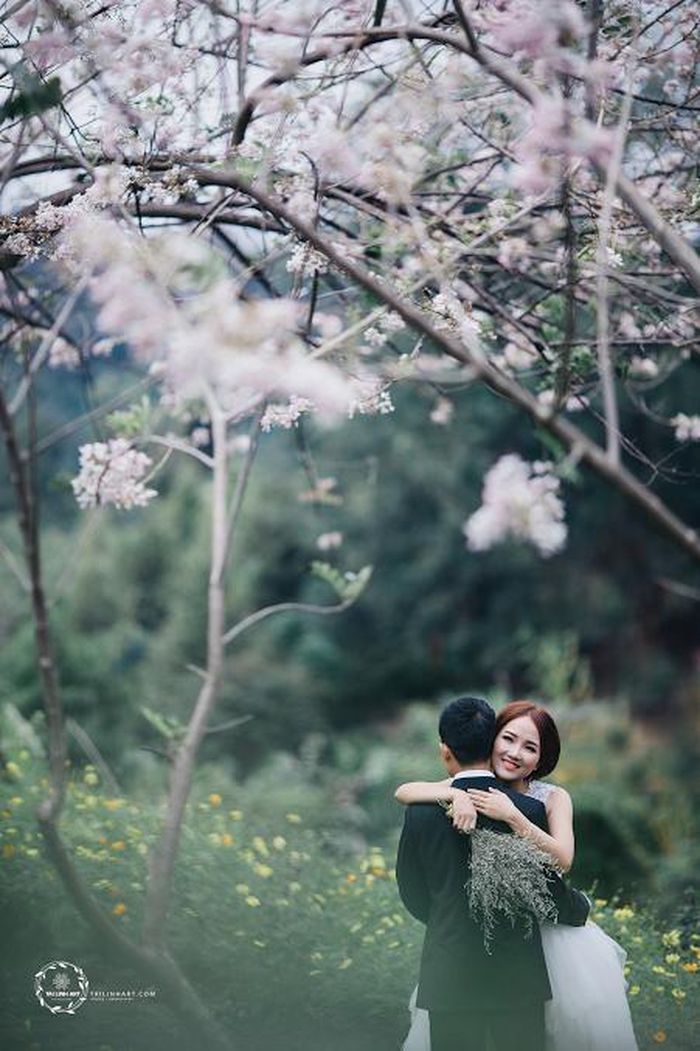 Trong bộ ảnh cưới mới do Tài Linh thực hiện, anh chàng này đã khéo léo chọn trang phục cho cô dâu khá nhẹ nhàng với chiếc váy cưới màu trắng ngắn tay, họa tiết trên thân váy ren và phần dưới bồng bềnh để tạo ra độ ăn khớp với những chùm hoa trắng hơi phớt của mai anh đào.