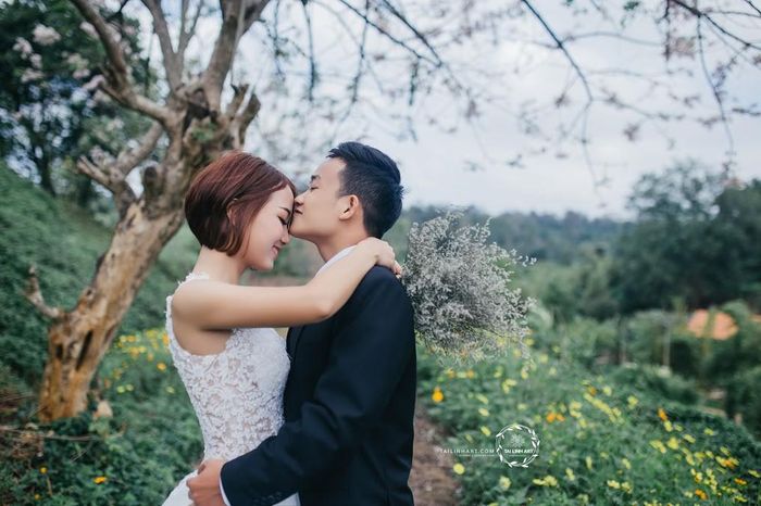 Từng rất ấn tượng với bộ ảnh cưới theo phong cách Nhật dưới gốc mai anh đào tại Đà Lạt, Tài Linh cũng muốn khoe rằng ở quê hương cao nguyên Buôn Mê Thuật cũng có loài cây đặc biệt và đẹp trên.