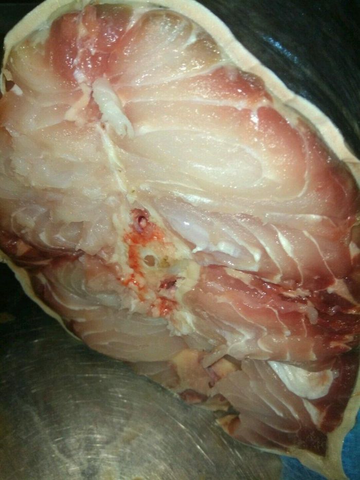 Được biết, chủ nhà hàng này thường xuyên tìm mua những sản vật quý hiếm ở nước ngọt. Trước đó, nhà hàng anh đã từng mua một con tra dầu nặng trên 100kg và 70kg.