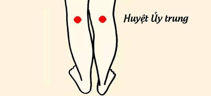  Vỗ đầu gối trừ độc: Để giải độc ở vị trí này mỗi ngày bạn hãy dành 15 phút dùng tay vỗ vào hốc sau đầu gối.
