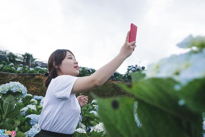 Chị Phạm Thanh Hải cùng nhóm bạn đến từ thành phố Hà Nội tạo dáng để chụp ảnh. Chị cho biết rất thích hoa cẩm tú cầu, và việc được ngắm nhìn cả cánh đồng hoa là một trải nghiệm rất tuyệt vời.