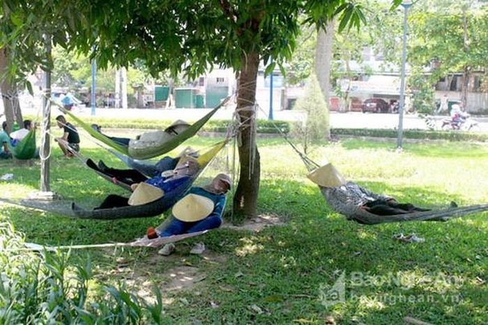 Ở một góc thành phố Vinh, những người làm nghề cửu vạn may mắn khi tìm được những bóng cây đủ che nắng. Tuy nhiên khi nằm võng, họ cũng phải bịt kín để chắn hơi nóng ập vào. Ảnh Quang An