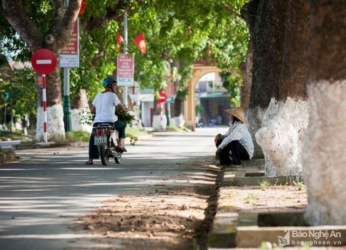 Vào những ngày nắng nóng, dọc hai bên đường, dưới bóng mát của hàng cây xà cừ, nhiều người dừng chân nghỉ ngơi. Ảnh: Thành Cường