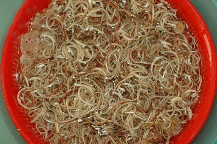 4. Gỏi bắp chuối hột. Nguyên liệu: Bắp chuối, chanh, ớt, thịt bò bắp, thịt heo nạc, gia vị. Bắp chuối xắt mỏng nhỏ phải được bỏ trong một thau nước lạnh có pha ít chanh và bột ngọt. Vắt ráo, rồi bóp với nước mắm giã ớt chanh đường cùng thịt bò bắp, thịt heo nạc được luộc chín thái mỏng. Ảnh: 2monngonmoingay.net.