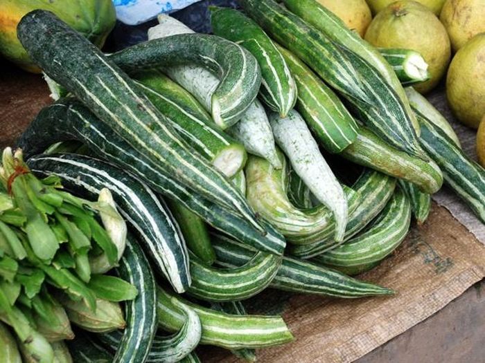 Đặc biệt, quả lặc lày thậm chí còn được cho là làm giảm nguy cơ phát triển bệnh ung thư phổi, ung thư ruột kết và ung thư khoang miệng. (Nguồn Danviet)