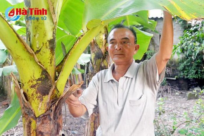 Thương binh Đào Văn Tịnh (xã Yên Hồ, Đức Thọ), luôn đi đầu vận động nhân dân chung tay xây dựng nông thôn mới.