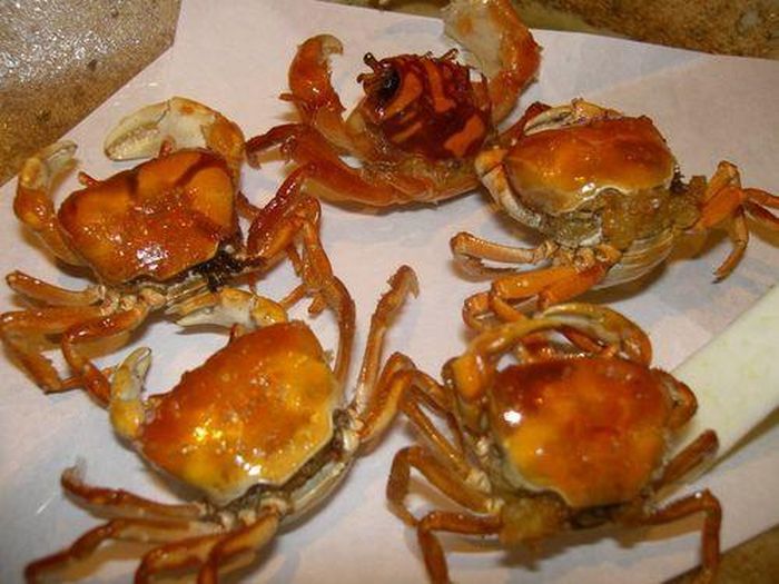 Ở nước ta, con rạm có mặt ở khắp các vùng miền từ Bắc tới Nam. (Nguồn Amthuc365)