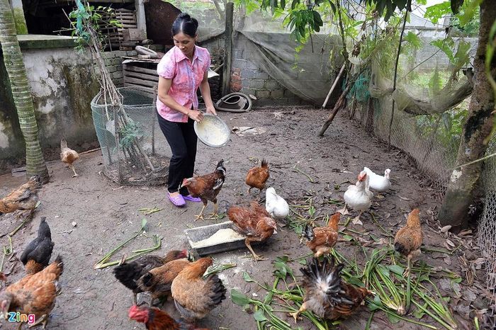 Bà Vũ Thị Nụ (mẹ Đoàn Văn Hậu) kể Hậu một năm về được đôi lần, đôi khi cũng muốn giữ con lại, nhưng Hậu luôn nói phải hoàn thành nhiệm vụ với câu lạc bộ và đội tuyển. Mặt khác, đã có mọi người trên Hà Nội lo, nên bà cũng thấy yên tâm. 