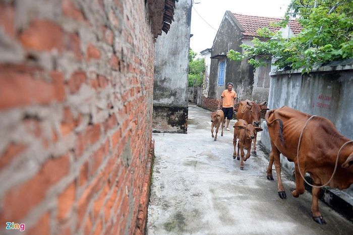 Có 2 bàn thắng, 1 đường kiến tạo, góp công trong cả 3 bàn đầu tiên của U22 Việt Nam trong trận đấu mở màn SEA Games, Hậu được kỳ vọng sẽ là nhân tố mới, gây nhiều đột biến bên hành lang cánh trái trong chiến dịch săn vàng. Ở một nơi xa hàng nghìn cây số, cha mẹ luôn dõi theo em và chờ ngày ra sân bay Nội Bài đón Hậu về nhà kèm theo chiếc huy chương màu vàng. 