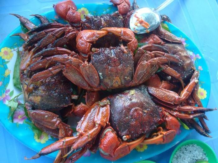 Do có ba dấu gạch ở trên lưng nên người ta mới gọi nó là con ba khía. Ba khía có hình dáng và kích cỡ như con cua đồng. (Nguồn Dulich24)