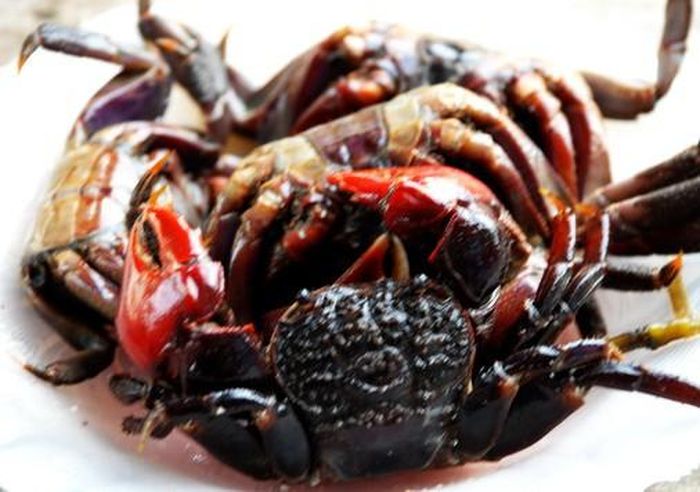 Ba khía ngon là những con có kích cỡ nhỏ, nhiều gạch vì loại này thịt chắc. Đặc biệt, phải vào những ngày mưa thì thịt ba khía càng ngọt và chắc hơn. (Nguồn Blogspot)