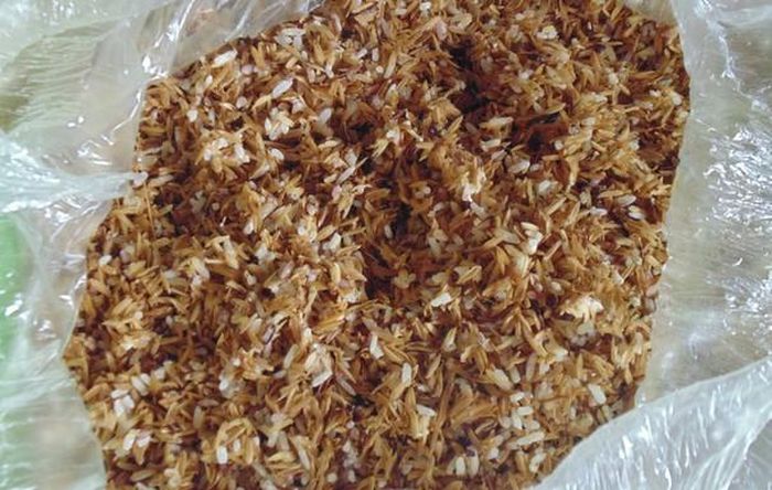 Nếp ngon ngâm qua đêm và trấu sạch được trộn với nhau để hông lên, đổ ra để nguội sau đó mới trộn với men được giã nhỏ, ủ trong túi bóng khoảng 3-4 ngày sau đó trút vào chum ủ. Ảnh: Tường Vi