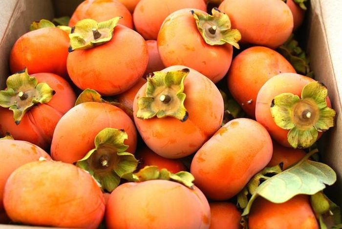 Mẹo khử vị chát của quả hồng bằng nước ấm: Cho hồng vào trong chậu, xung quanh chậu dùng rơm rạ giữ nhiệt, cho nước ấm 40 - 50°C vào (cho tay vào không có cảm giác quá nóng), ngâm ngập hồng, hơi đảo qua, đậy nắp chậu lại. Khi cần, thay một hai lần nước, để bảo quản nhiệt độ ổn định. Qua một ngày đêm vị chát sẽ mất. Ảnh: Ciricara.