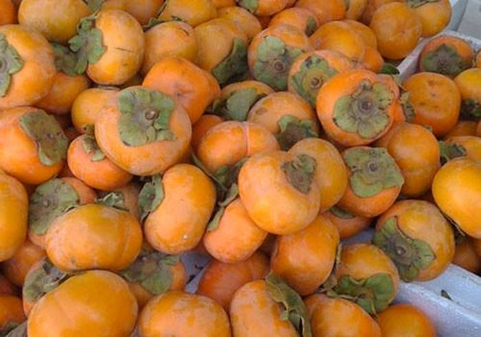 Có một cách khác để hồng ngâm hết chát là bạn có thể đặt quả hồng vào thùng nhựa rồi lấy cồn nhẹ hoặc rượu gạo cho vào bình xịt rồi phun sương lên bề mặt quả hồng. Đậy kín nắp thùng sau khoảng 3 - 5 ngày, bạn sẽ không thấy vị chát của hồng nữa. Ảnh: Lavitacucinare.