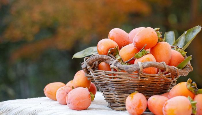Khử vị chát của quả hồng bằng nước vôi: Dùng một lít nước nóng hòa vôi thành nước vôi, cho thêm nước lã để có nồng độ 10%, nhân lúc nước vôi đang nóng, cho hồng vào (nước ngập hồng), khuấy nhẹ, đậy kín miệng chậu, một tuần sau hồng hết chát. Ảnh: Azureedge.