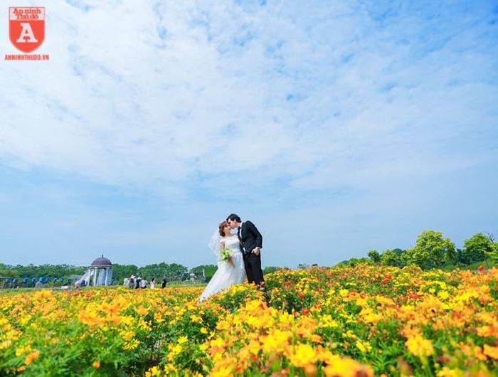  Chỉ cần 20 phút di chuyển từ trung tâm Hà Nội theo hướng Long Biên đi Bát Tràng là bạn sẽ đến được với khu thảo nguyên hoa đẹp như trong cổ tích. 