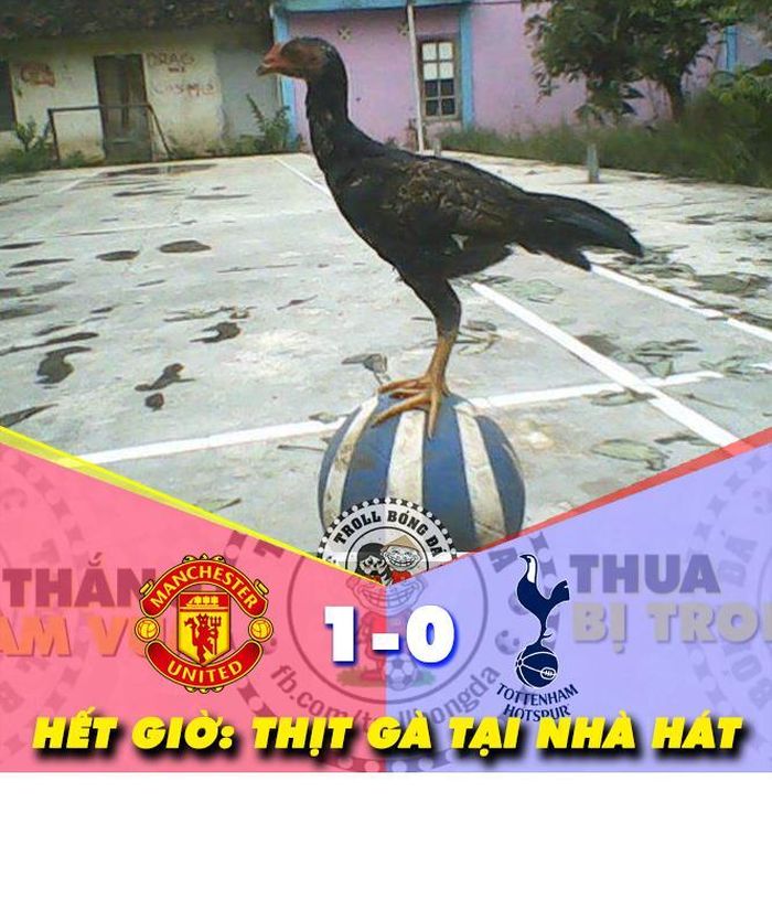 Ảnh chế bóng đá tuần qua xoay quanh trận đại chiến giữa M.U và Tottenham trên sân Old Trafford, nơi mà "bầy quỷ đỏ" đã thịt "gà trống Spur" với tỷ số tối thiểu 1-0 và chấm dứt chuỗi trận bá đạo của đội bóng đến từ thành London.