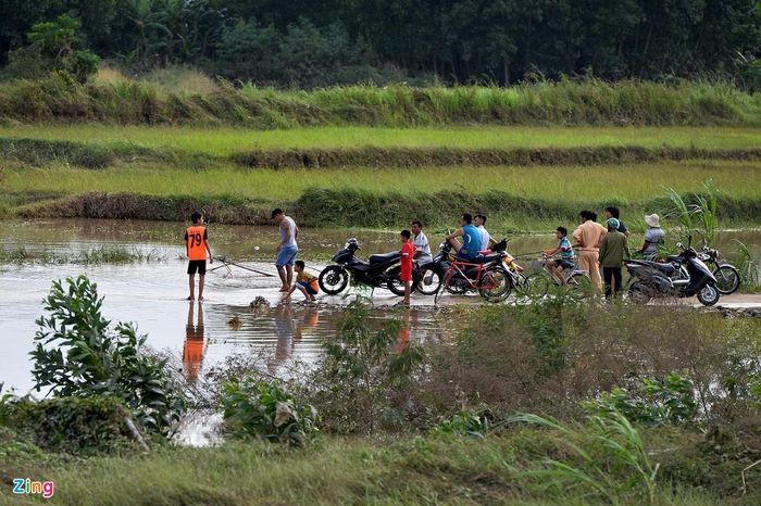 Những nơi nước mới rút, cá xuất hiện khá nhiều. Từng tốp thanh niên chia khu vực dùng vó kéo hoặc giăng lưới bắt.