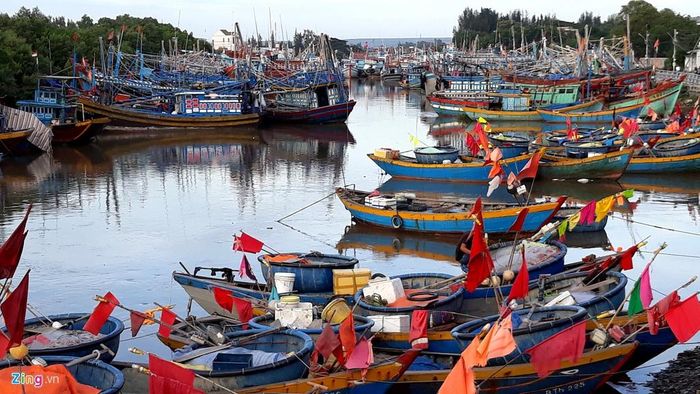 7.399 tàu thuyền ở Bình Thuận đã vào bờ neo đậu trú bão an toàn. Ảnh: Huỳnh Hải.