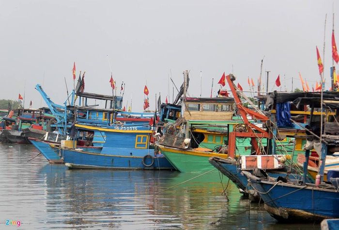 Người dân Cần Giờ cho tàu thuyền vào bờ neo đậu và cắt tỉa cành cây sáng nay, 3/11. Ảnh: Lê Trai.