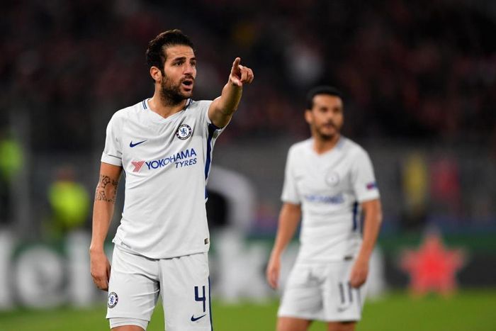 Fabregas muốn gắn bó Chelsea