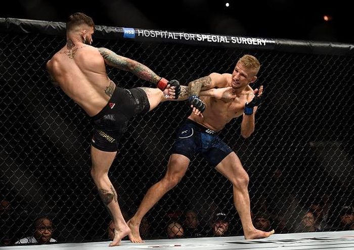 Với tư cách nhà vô địch, Garbrandt là người thi đấu tốt hơn ở hiệp đầu tiên. Võ sĩ 26 tuổi thành công trong việc dồn đối thủ vào góc võ đài bằng những combo đòn chính xác. Dillashaw bị đấm knock-out nhưng vẫn có thể trụ đến hết hiệp.