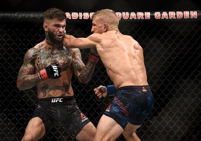 Trong màn so tài đáng chú ý khác, hai người đồng đội cũ ở Team Alpha, Cody Garbrandt (trái) và Tj Dillashaw đối đầu với nhau tại trận tranh đai hạng gà. 