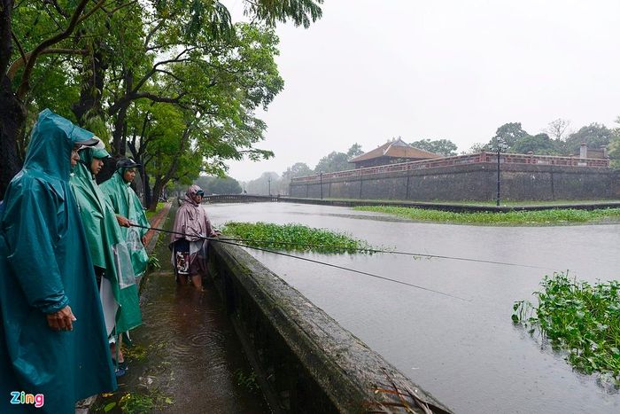 Nhiều người dùng cần câu, vó, lưới để bắt cá bên kinh thành.