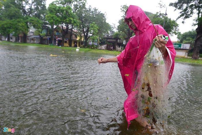 Tuấn, một thanh niên sinh sống gần kinh thành Huế cho biết sau một ngày dùng lưới để bắt cá anh và người nhà đã có 3 kg cá các loại.