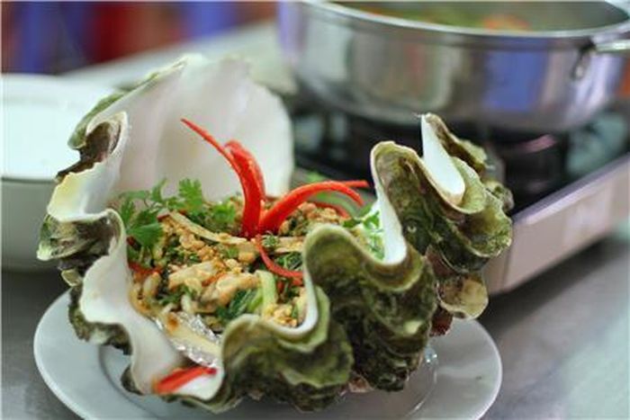 Ở Việt Nam, ốc tai tượng có ở vùng biển của Nha Trang, Phú Yên, Ninh Thuận, Cù Lao Chàm, Côn Đảo. (Ảnh Haisansachphanthiet)