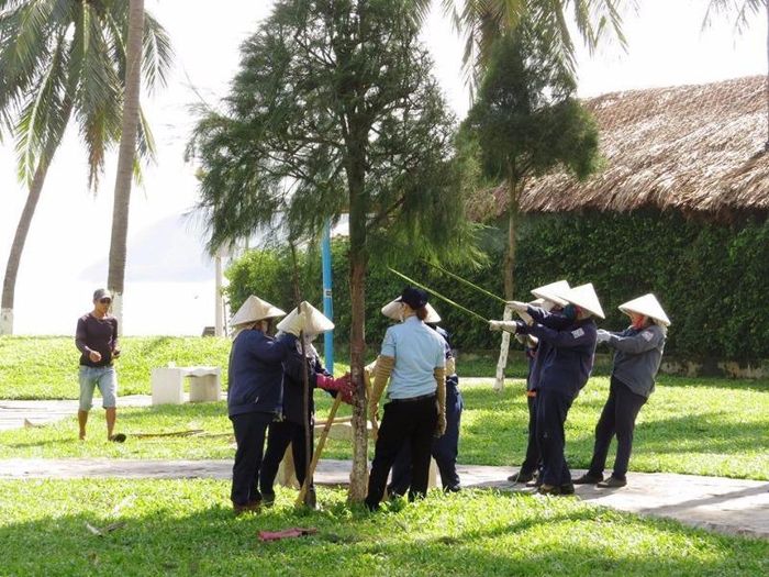Kéo lại cây đứng dậy sau bão ở Nha Trang. Ảnh: TRẦN CÔNG THI