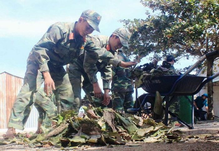 Các cán bộ, chiến sĩ Bộ CHQS tỉnh Bình Định dọn dẹp cây cối gãy đổ sau bão số 12 tại xã Phước Quang 