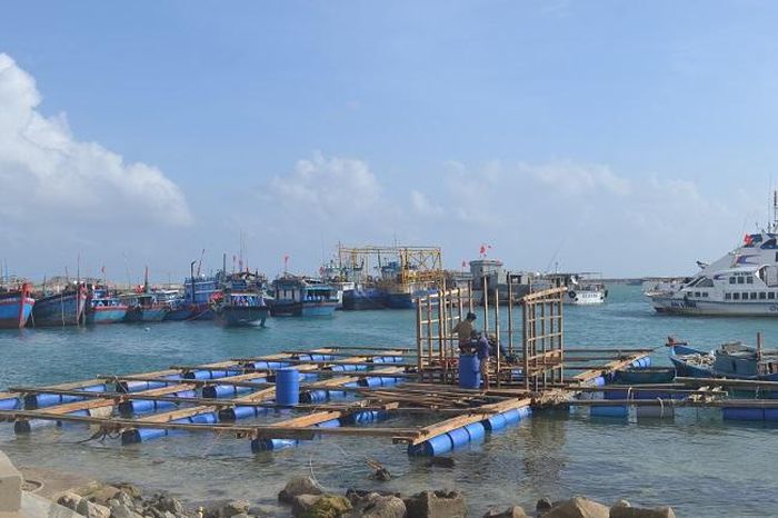 Người dân nuôi trồng thủy sản Lý Sơn sửa chữa đóng mới lồng bè để khôi phục sản xuất