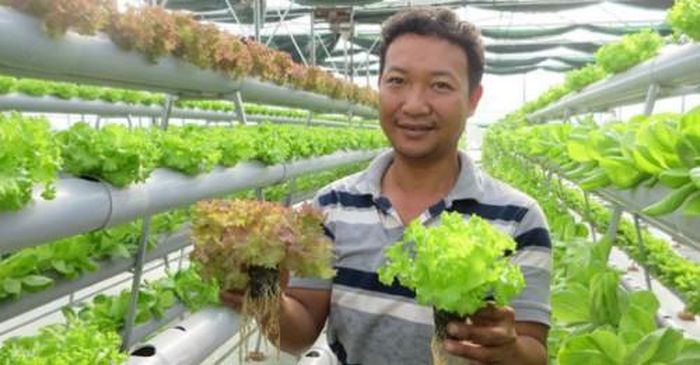 Anh Khôi bên vườn rau thủy canh của mình. Ảnh: Thanh Niên.