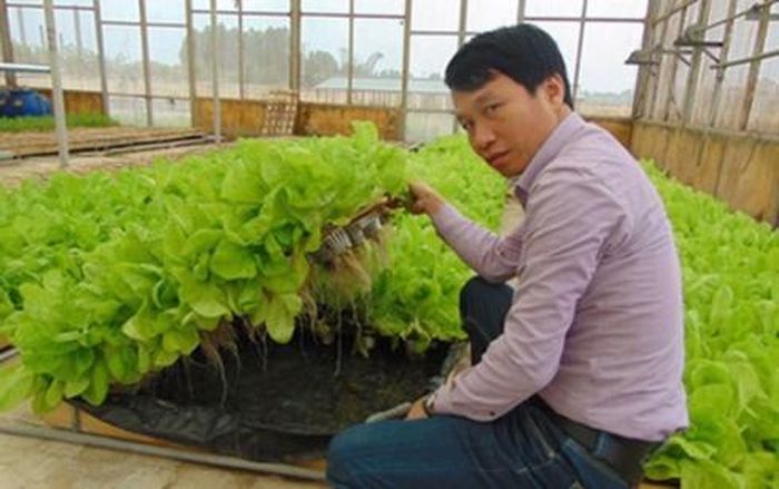 Anh Nguyễn Văn Tuấn bên sản phẩm rau thủy canh. Ảnh: Tiền Phong.