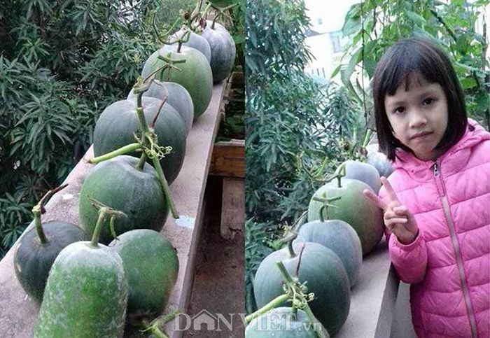 Thành quả thu được từ giàn bí khủng của chị Thu Huyền.