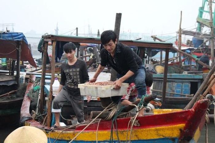 Còn đối với ngư dân Hồ Khắc Minh, sau 1 ngày ra khơi đánh bắt, tàu của ông đánh được 50 kg tôm biển, trong đó có khoảng 10 kg tôm he có giá trị cao; mỗi chuyến cập bến đều có thu nhập từ 3 - 4 triệu đồng. Ảnh: Việt Hùng