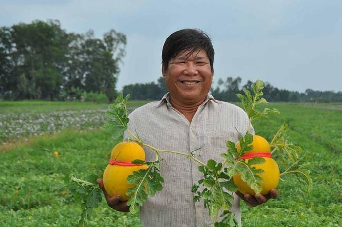 Sản phẩm dưa hồ lô.