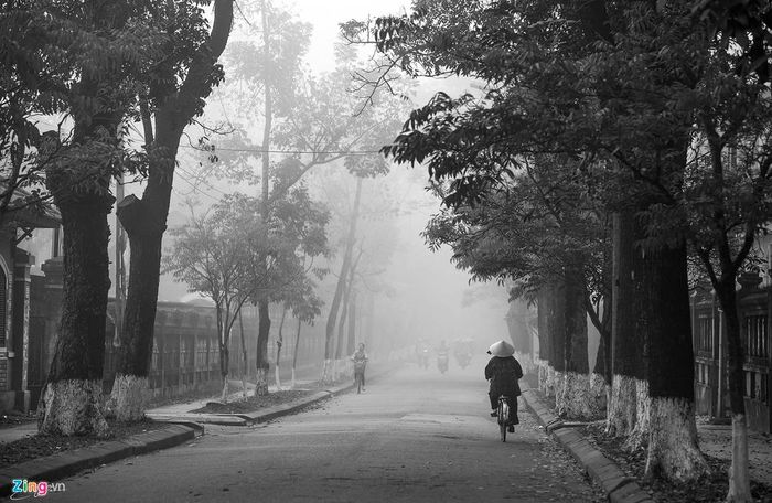 Những con đường phủ đầy sương trắng như những bức họa.