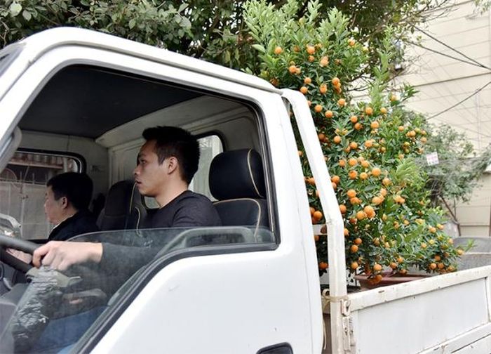 Mang "mùa xuân" đến mọi nhà.