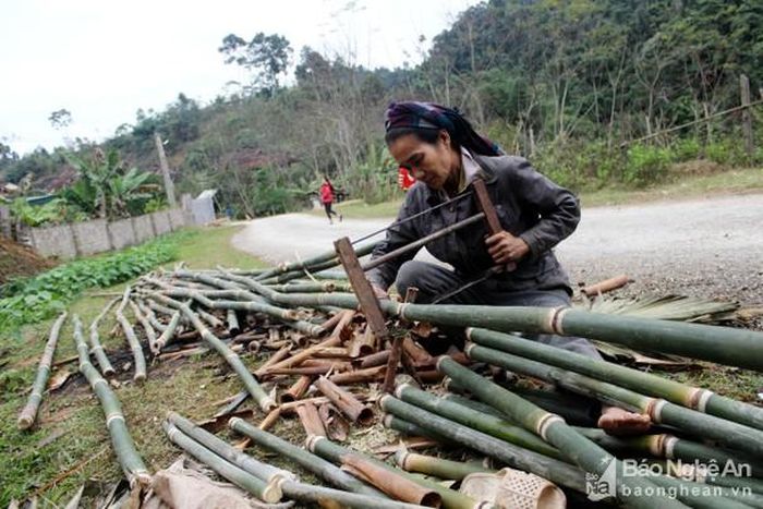 Bà Lô Thị Nguyệt ở bản Piêng Văn, xã Đồng Văn cho biết, mỗi ngày bà vào rừng lấy được gần 200 ống giang về bán với giá 1.000 đồng/ống, thu về gần 200 nghìn đồng. Ảnh Quang An