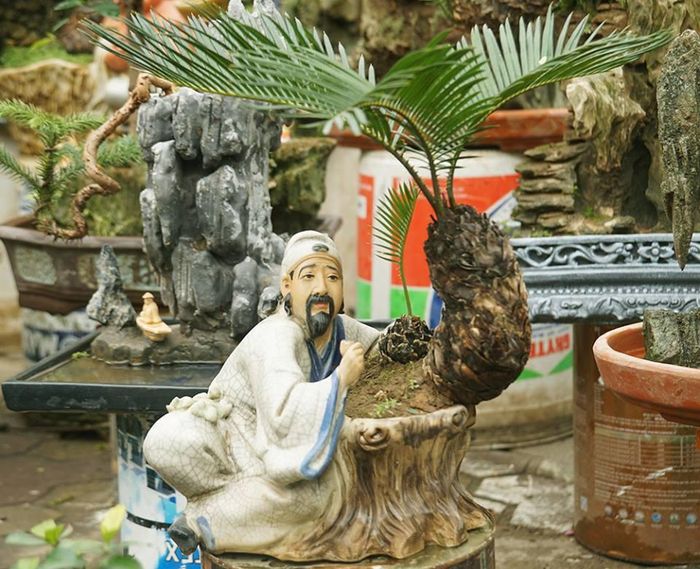 Giá của những chậu vạn tuế bonsai không phụ thuộc vào kích thước to hay nhỏ, mà phụ thuộc vào độ tuổi của từng chậu và những thế mà chủ vườn tạo dáng.