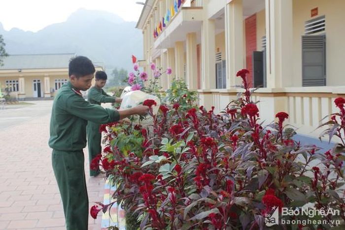 Các đơn vị của Sư 324 thể hiện khí thế của sắc xuân. Ảnh: Lê Tường Hiếu